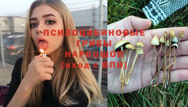 прущие грибы Арсеньев