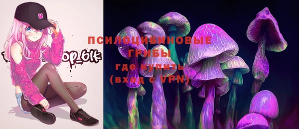 синтетический гашиш Пролетарск